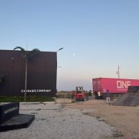 Exportación de Cannabis